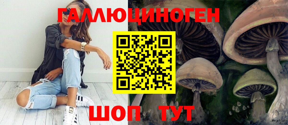 Нефтекамск  Псилоцибиновые грибы мицелий  Вход с VPN 